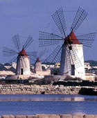 marsala wine andd saltpans day tour